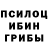 Галлюциногенные грибы Psilocybine cubensis Marmala Shah