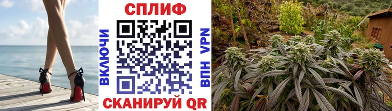 Бошки Шишки White Widow  купить   Кандалакша 